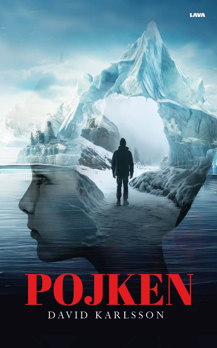 David Karlsson : Pojken