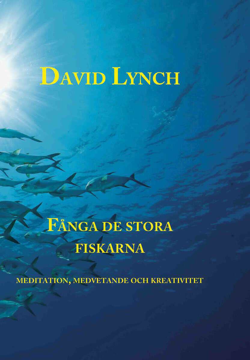 David Lynch : Fånga de stora fiskarna : meditation, medvetande och kreativitet