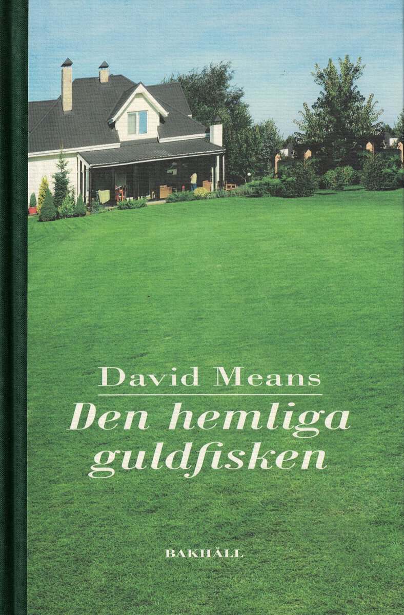 David Means : Den hemliga guldfisken