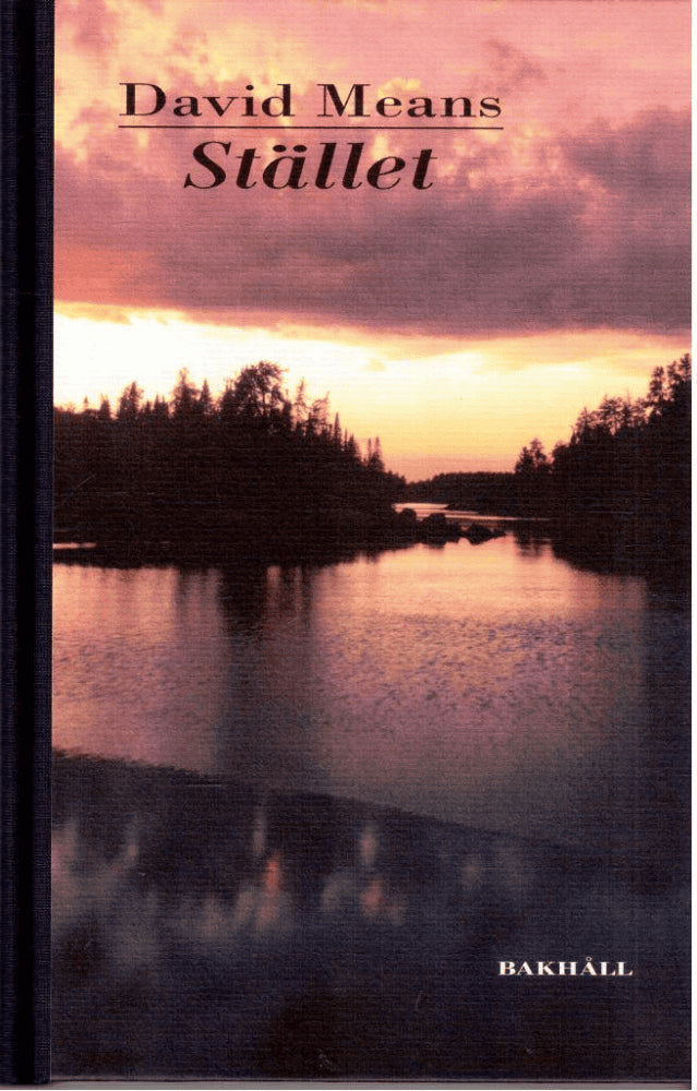 David Means : Stället. Noveller