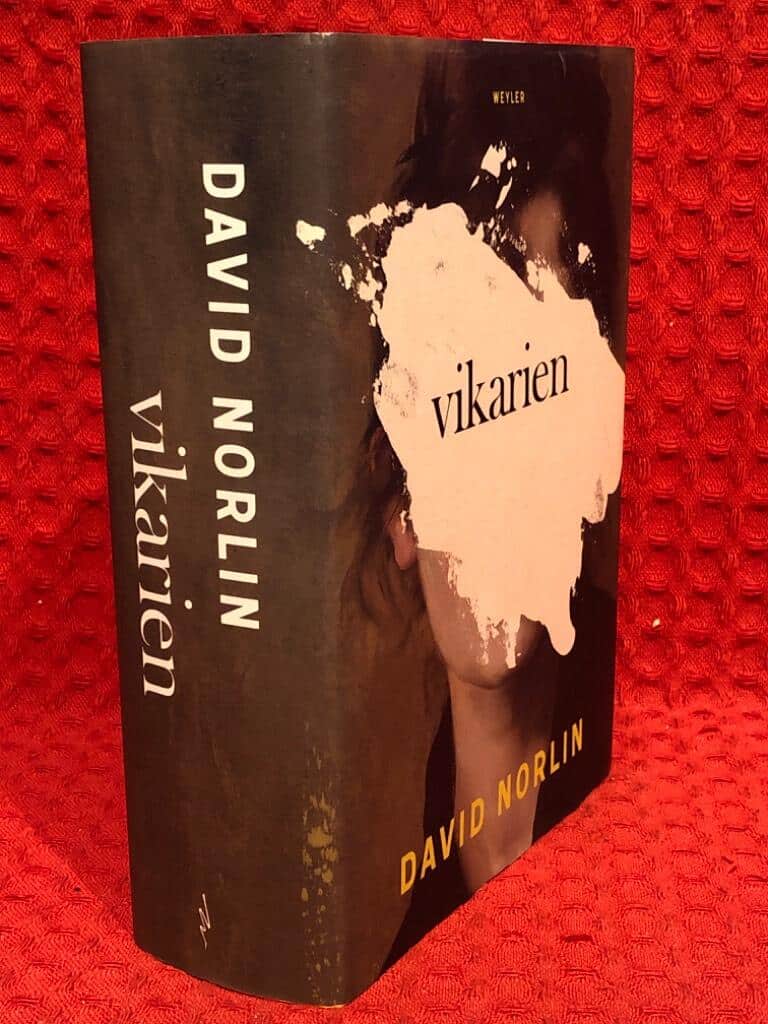 David Norlin : Vikarien