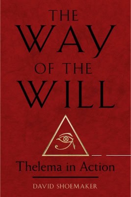 David Shoemaker : The Way of Will