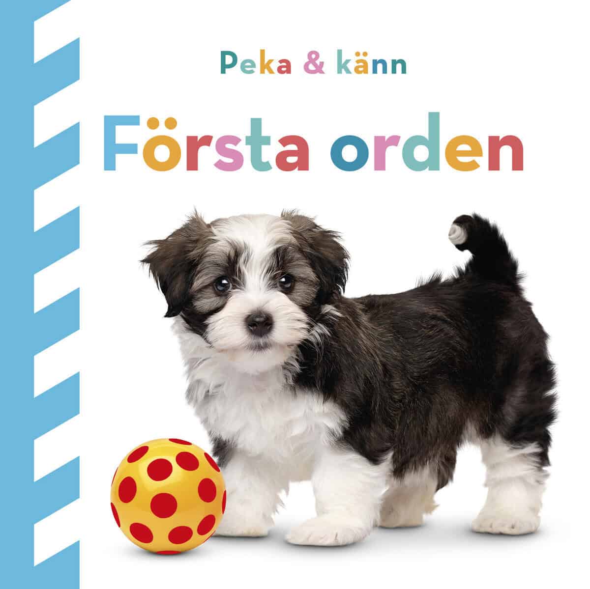 Dawn Sirett : Peka och känn : Första orden