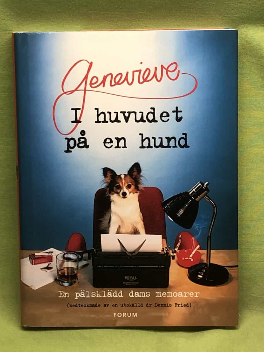 Dennis Fried : I huvudet på en hund