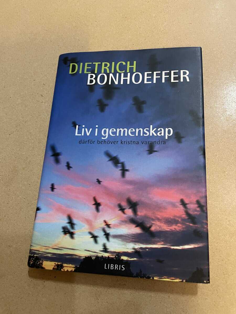 Dietrich Bonhoeffer : Liv i gemenskap därför behöver kristna varandra