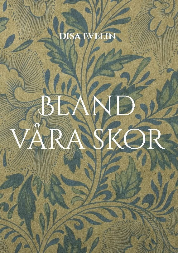 Disa Evelin : Bland våra skor