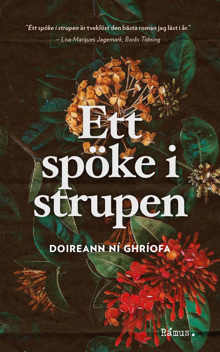 Doireann Ní Ghríofa : Ett spöke i strupen