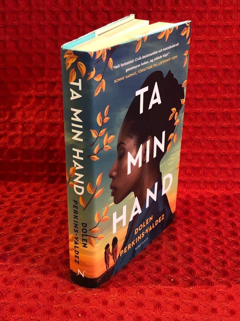 Dolen Perkins-Valdez : Ta min hand