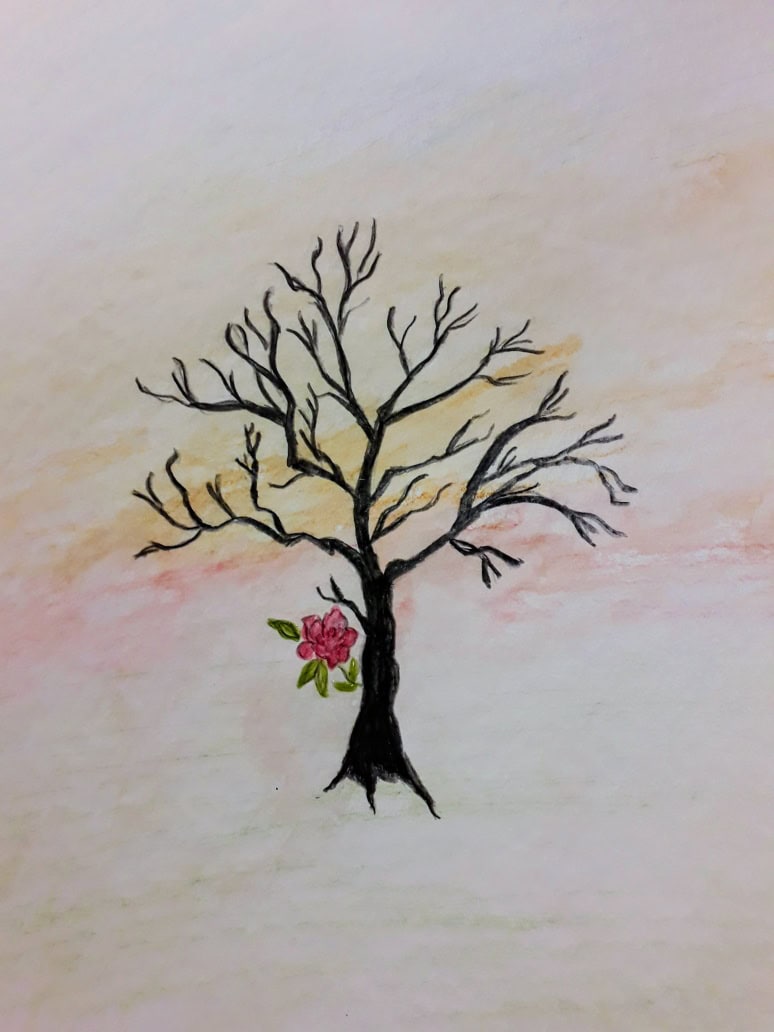 Doris Lindqvist-Björn : Gränslöst land