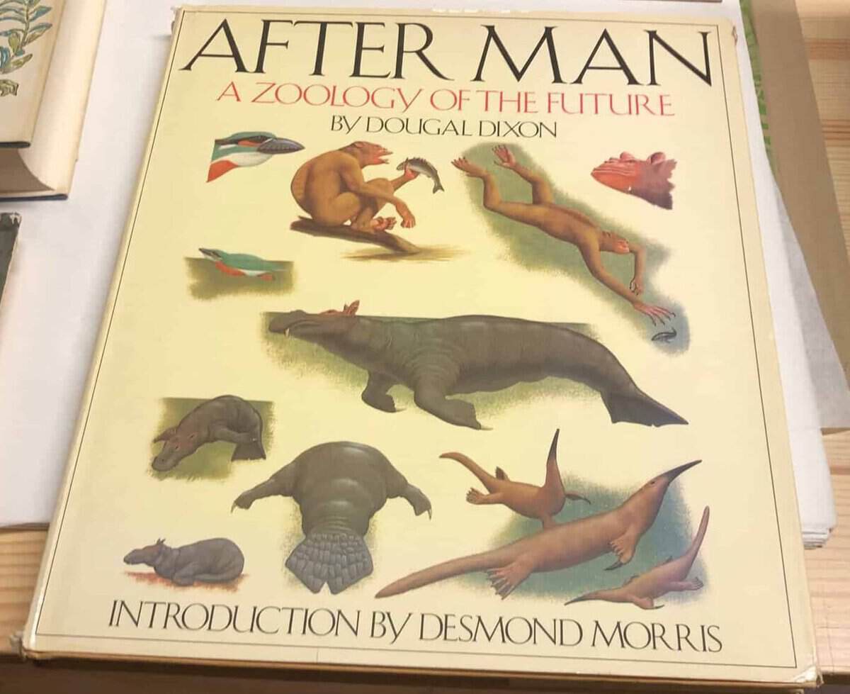 Dougal. Dixon : After man