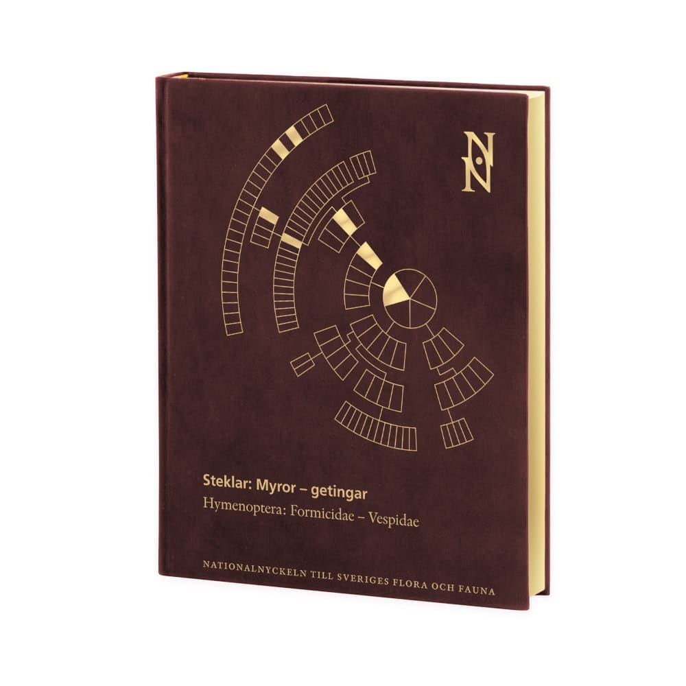 Douwes, Per; Abenius, Johan; Cederberg, Björn; Wahlstedt, Urban : Steklar