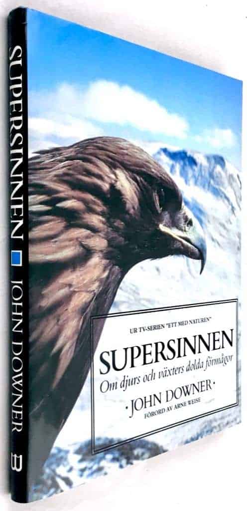 Downer, John ; Hallberg, Eric : Supersinnen