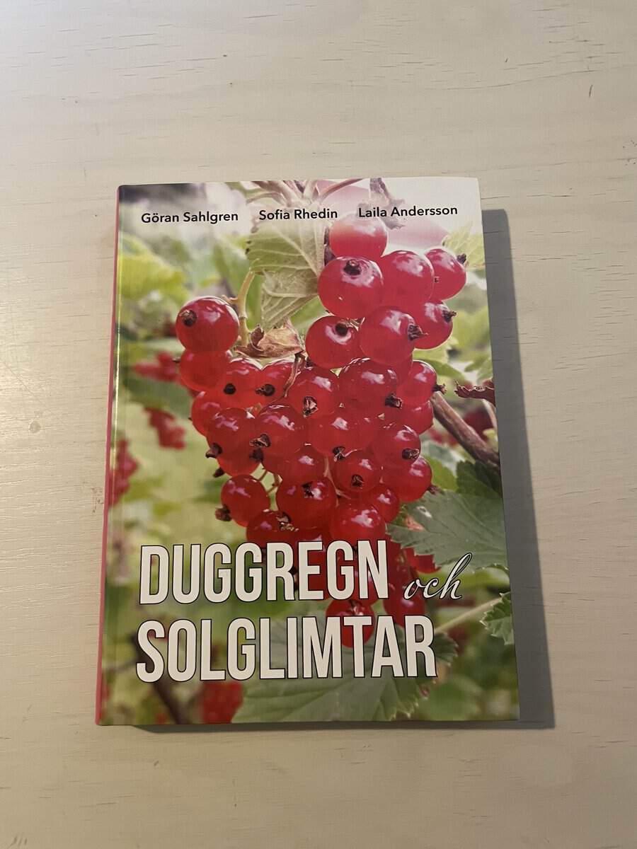 Duggregn och solglimtar