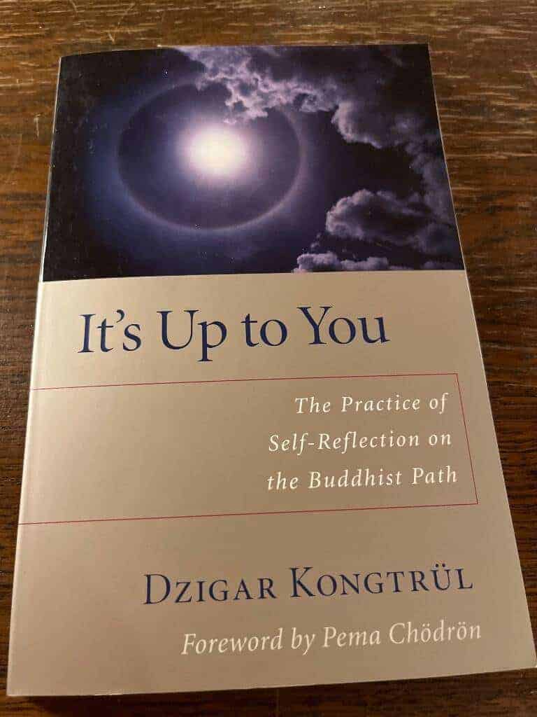 Dzigar Kpngtrül : It’s up to you