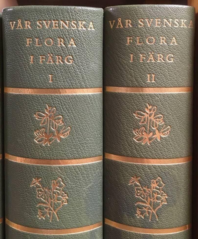 E Hultén : Vår svenska flora i färg 1-2