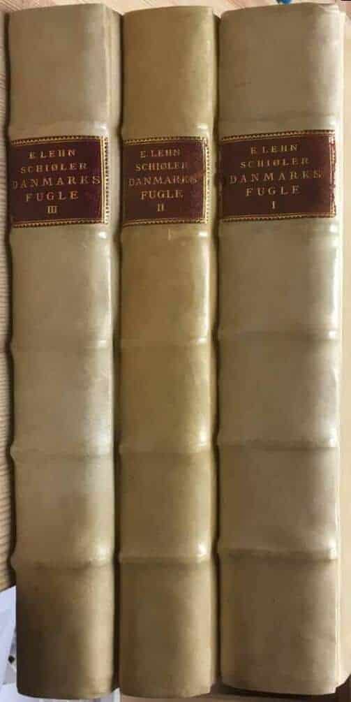 E Lehn Schiöler : Danmarks fugle