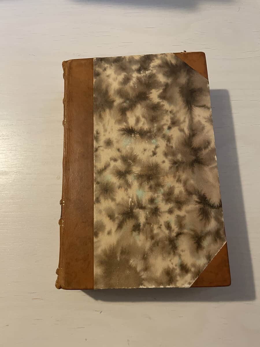 E Rodocanachi : Tre furstehov i Vatikanen under renässansen