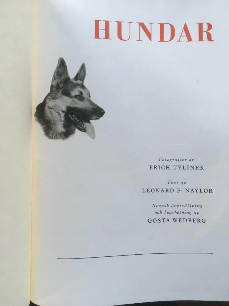 E Tylinek : Hundar