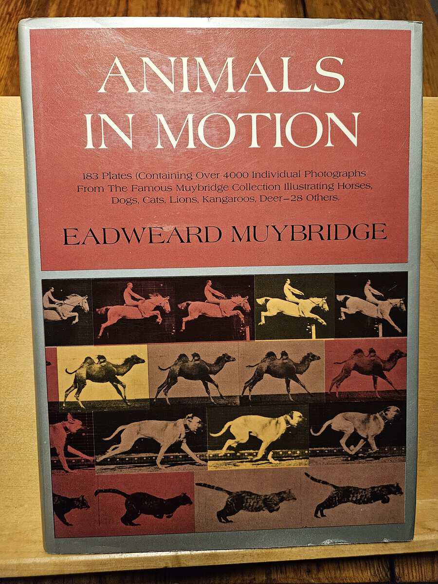 Eadweard Muybridge : Animals in Motion