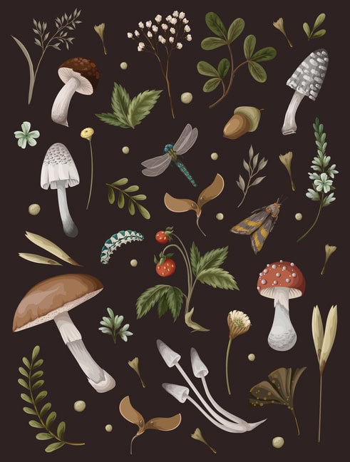 Editors of Chartwell Books : Mushroom Lined Journal