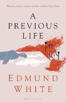 Edmund White : A Previous Life