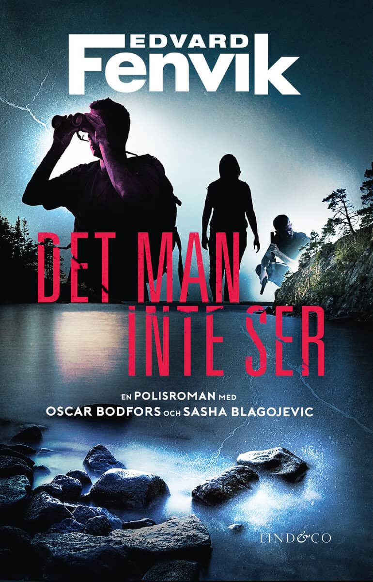 Edvard Fenvik : Det man inte ser