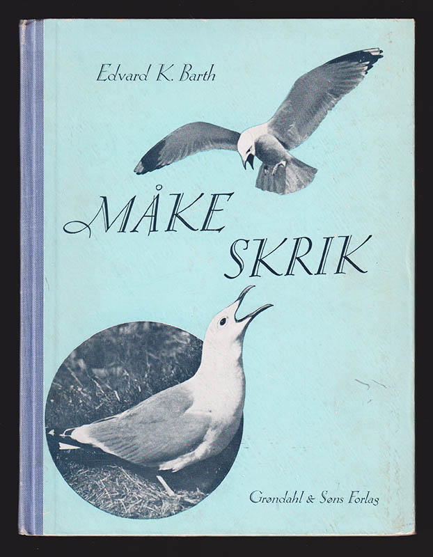 Edvard K. Barth : Måkeskrik