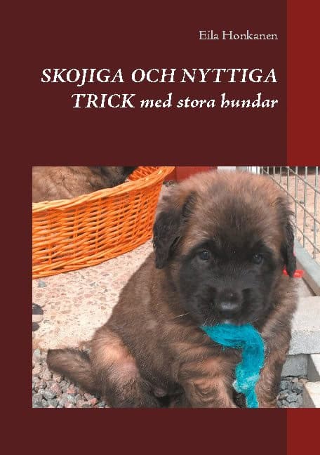 Eila Honkanen : Skojiga och nyttiga trick med stora hundar