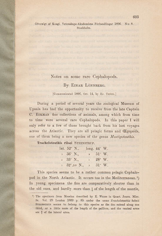 Einar Lönnberg : Notes on some rare Cephalopods