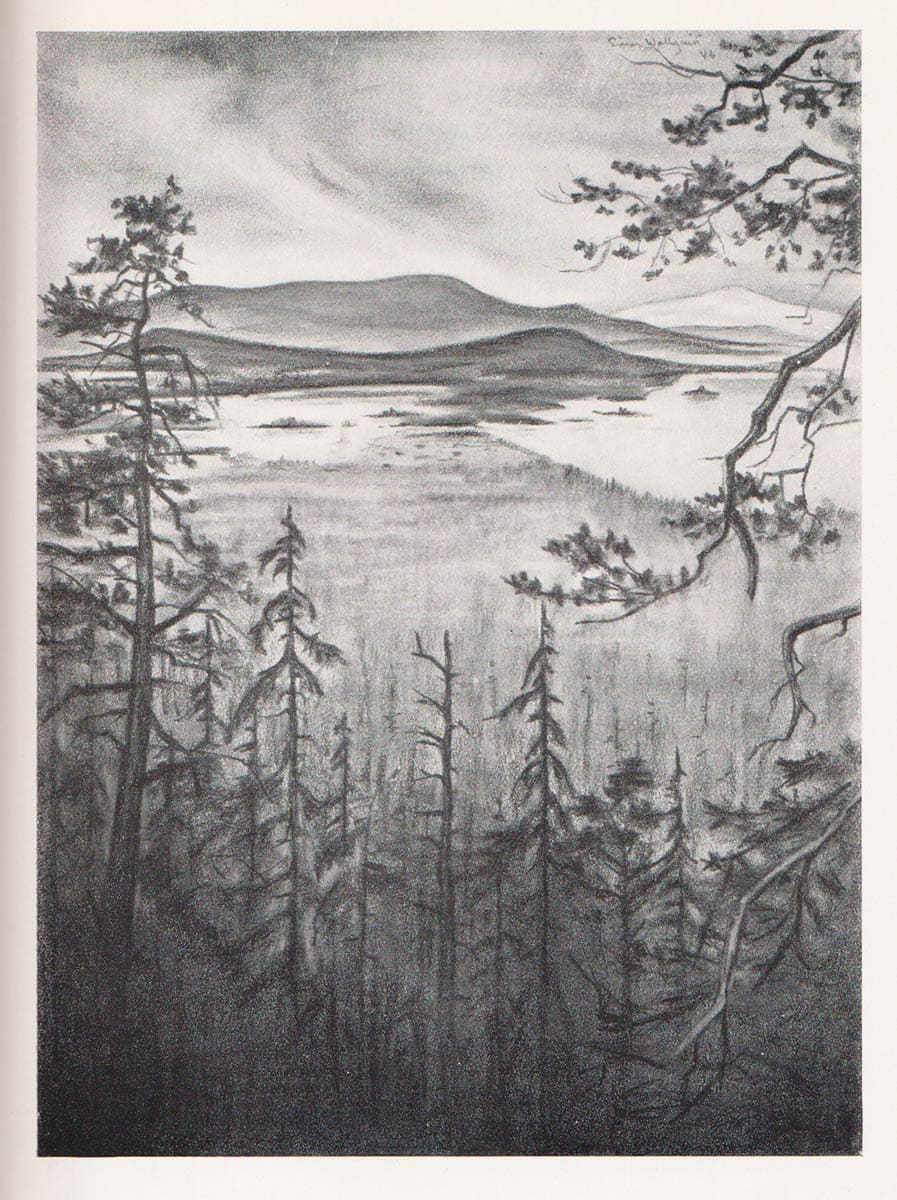 Einar Wallquist : Att få komma