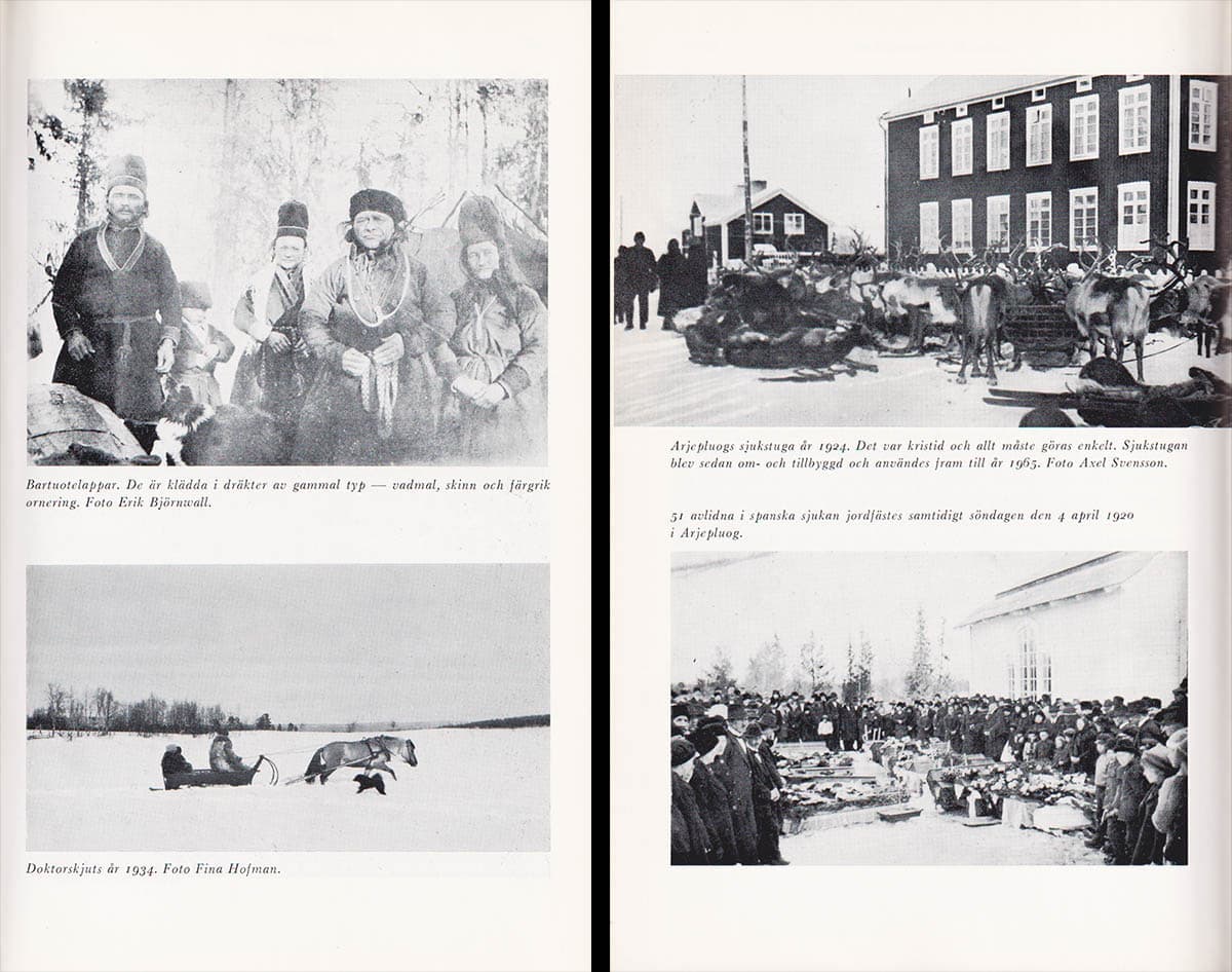 Einar Wallquist : 'De kranka och de uslingar'. En bok om en gången tids sjukdomar och vård i en fjällsocken (Arjeplog)