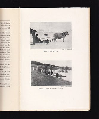 Einar Wallquist : 'Kan doktorn komma?'. Lappmarkshistorier från lappmarken