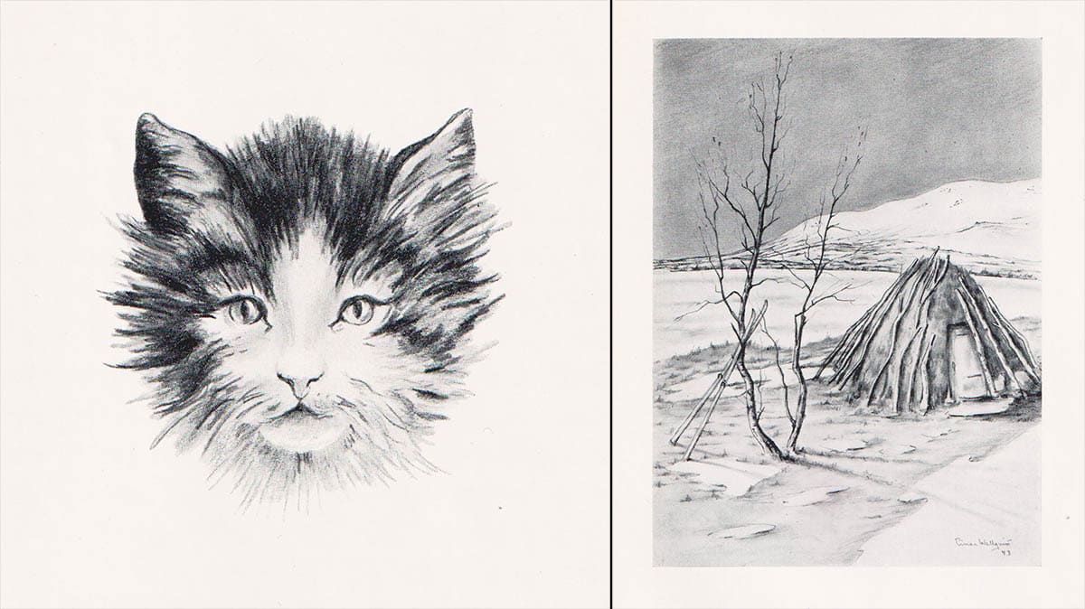 Einar Wallquist : Möte med granne