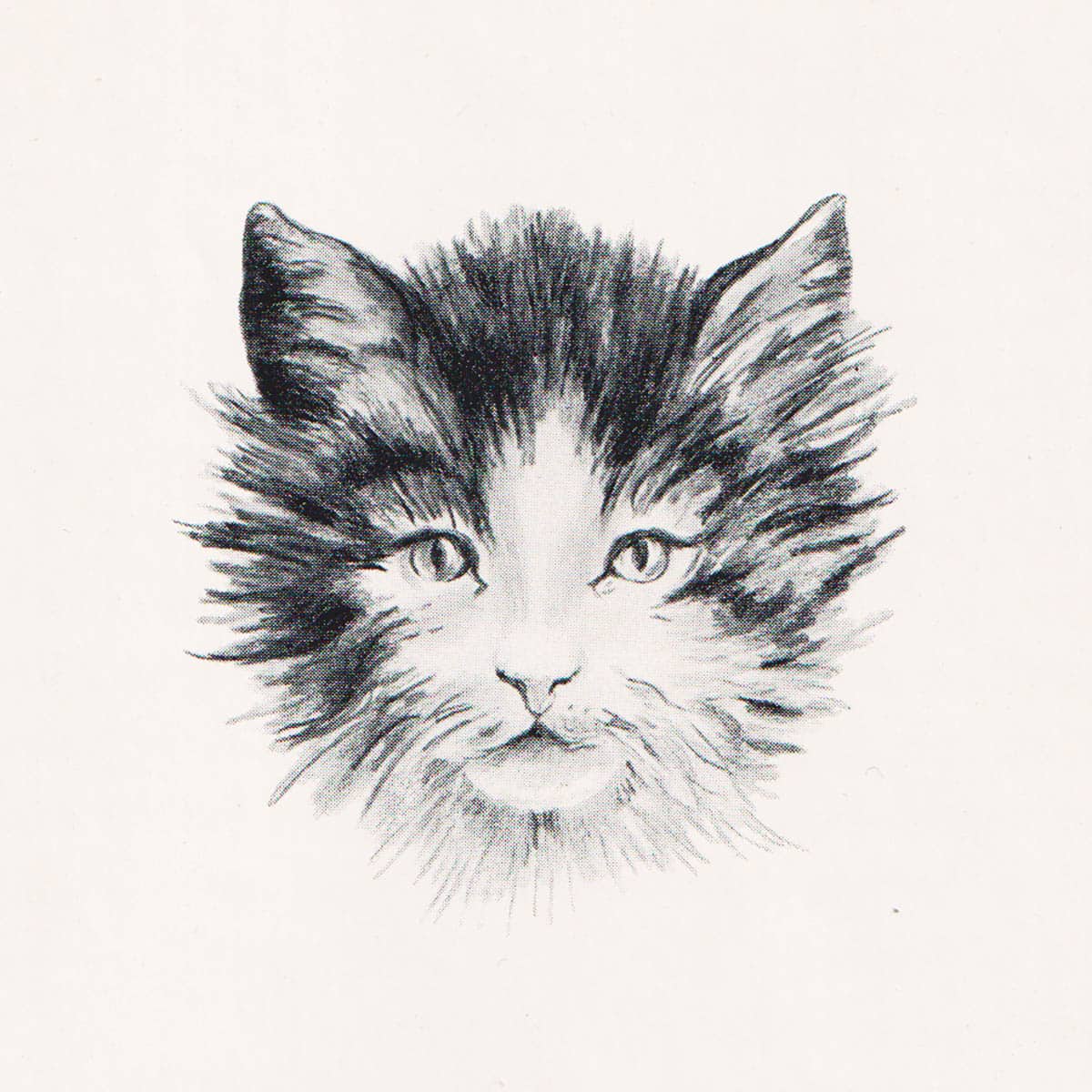 Einar Wallquist : Möte med granne