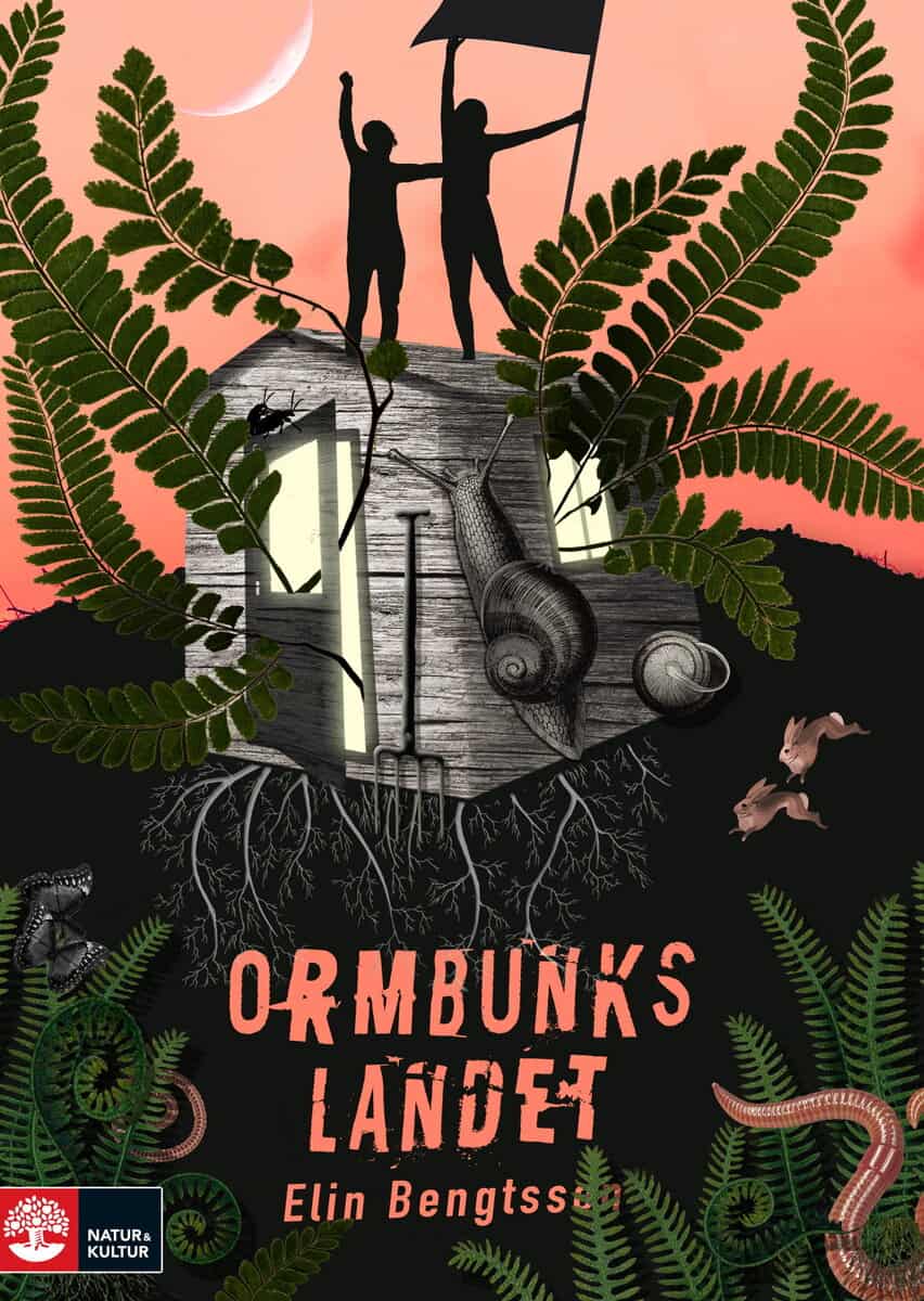 Elin Bengtsson : Ormbunkslandet