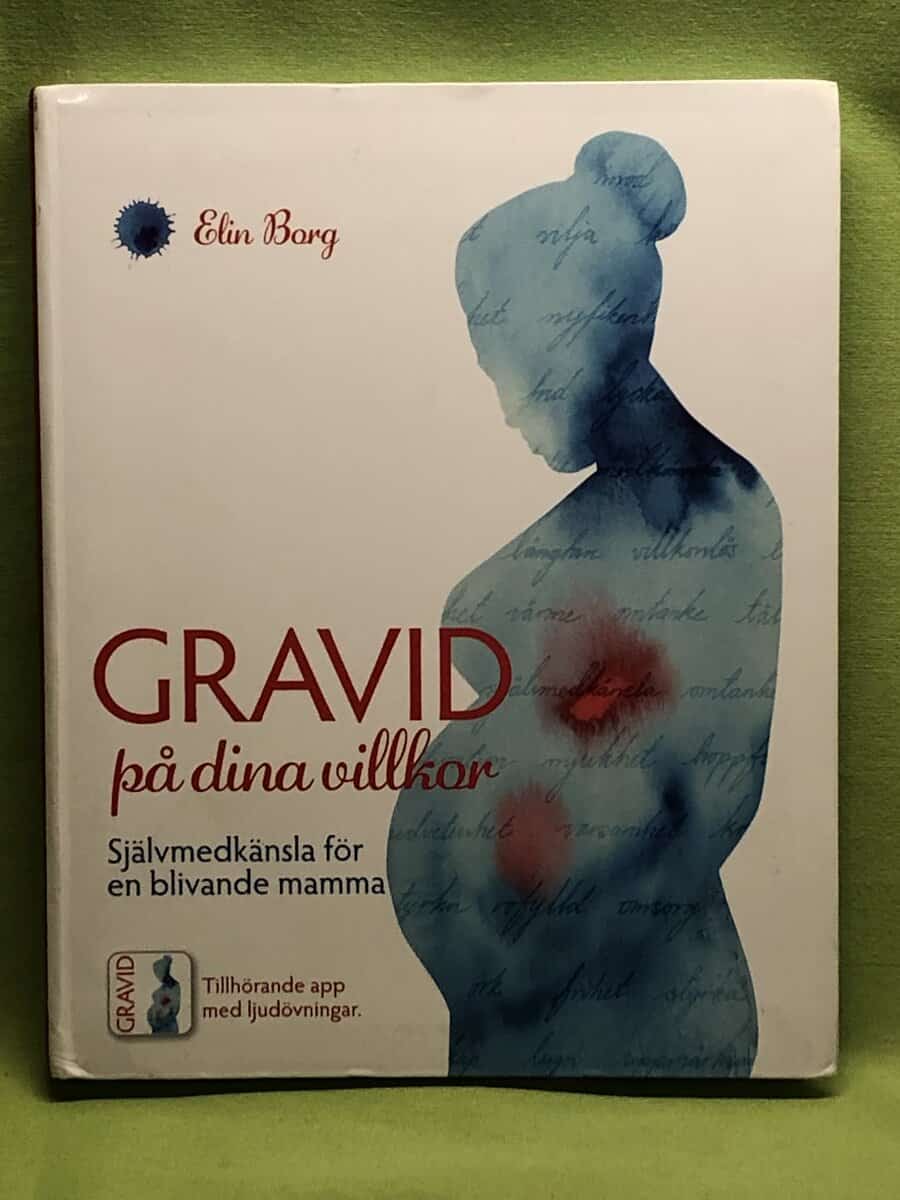 Elin Borg : Gravid på dina villkor
