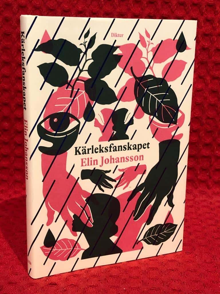Elin Johansson : Kärleksfanskapet