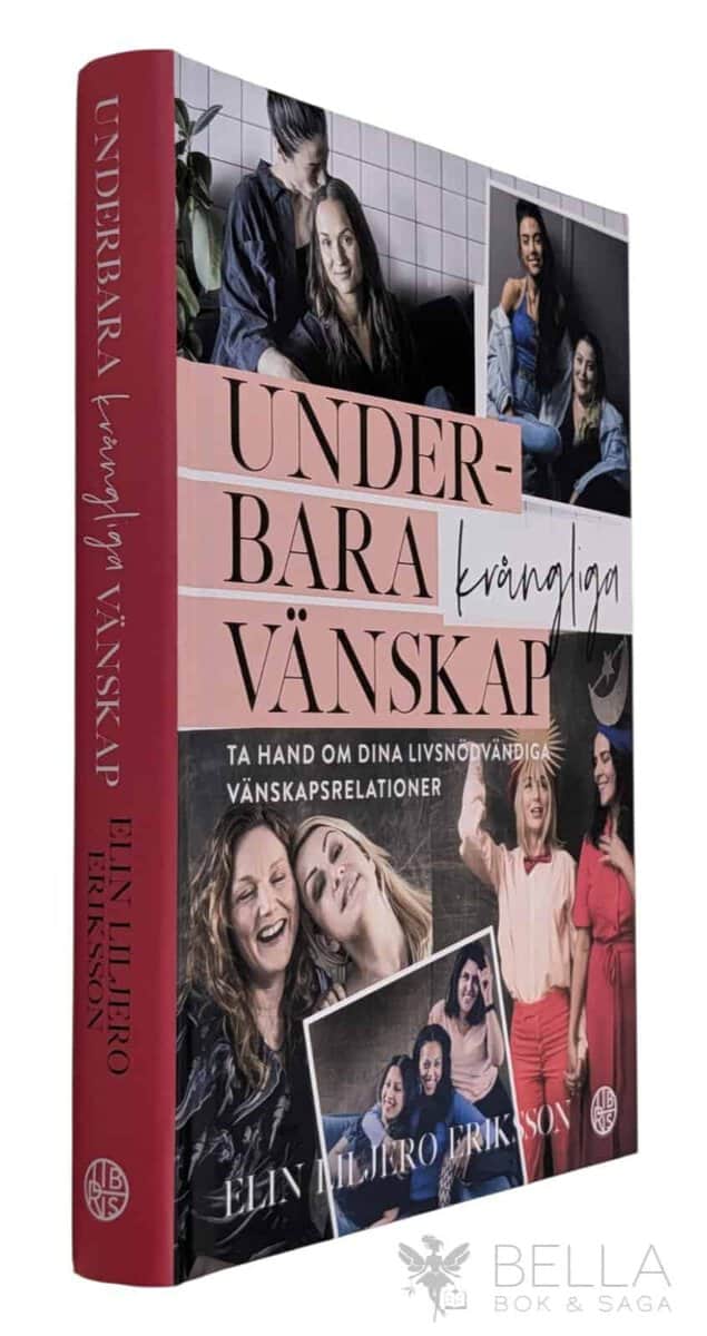 Elin Liljero Eriksson : Underbara krångliga vänskap