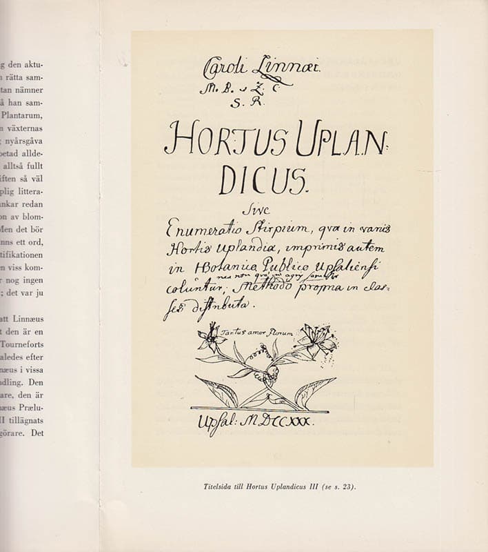 Elis Malmeström : Linnæi väg till vetenskaplig klarhet