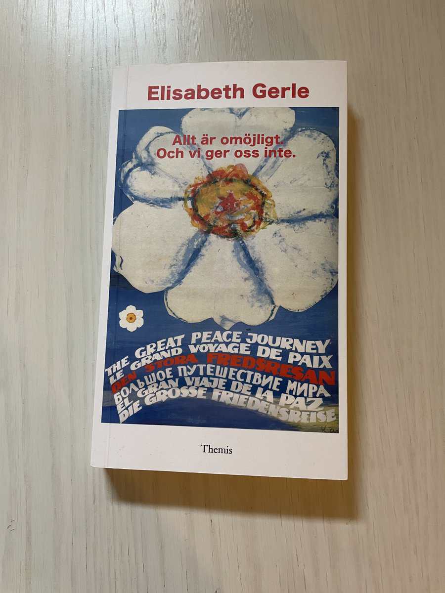 Elisabeth Gerle : Allt är omöjligt och vi ger oss inte