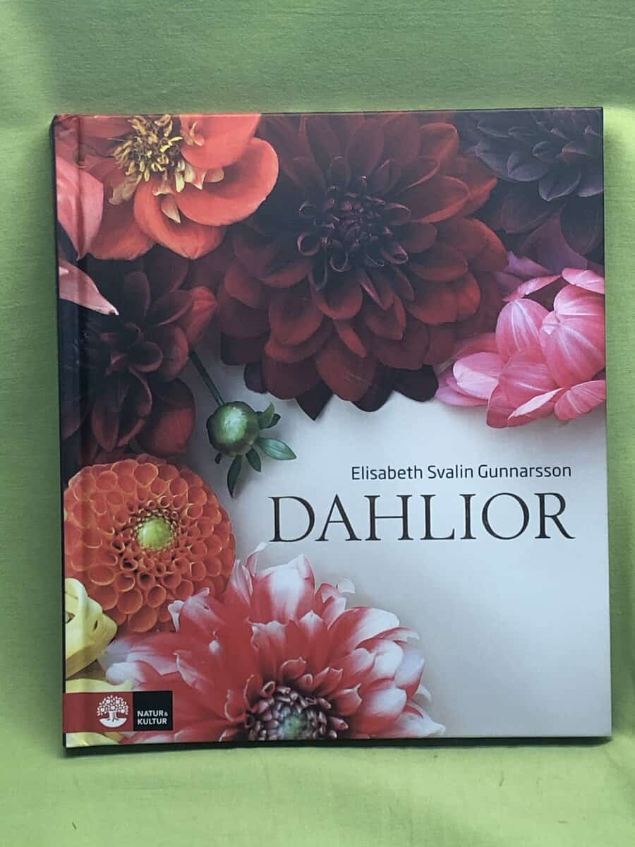 Elisabeth Svalin Gunnarsson : Dahlior