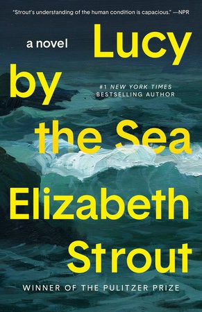 Elizabeth Strout : Lucy by the sea