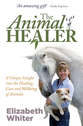 Elizabeth Whiter : Animal healer - a unique insight into the healing, care and wellbeing of an
