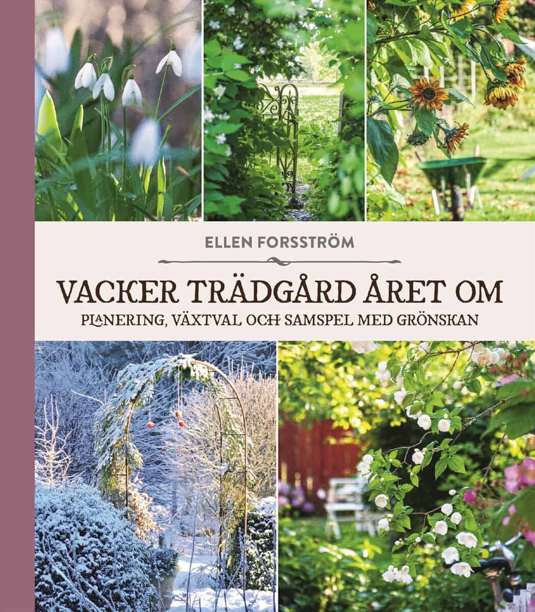 Ellen Forsström : Vacker trädgård året om
