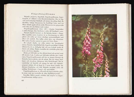 Elsa af Trolle : Kryddgården