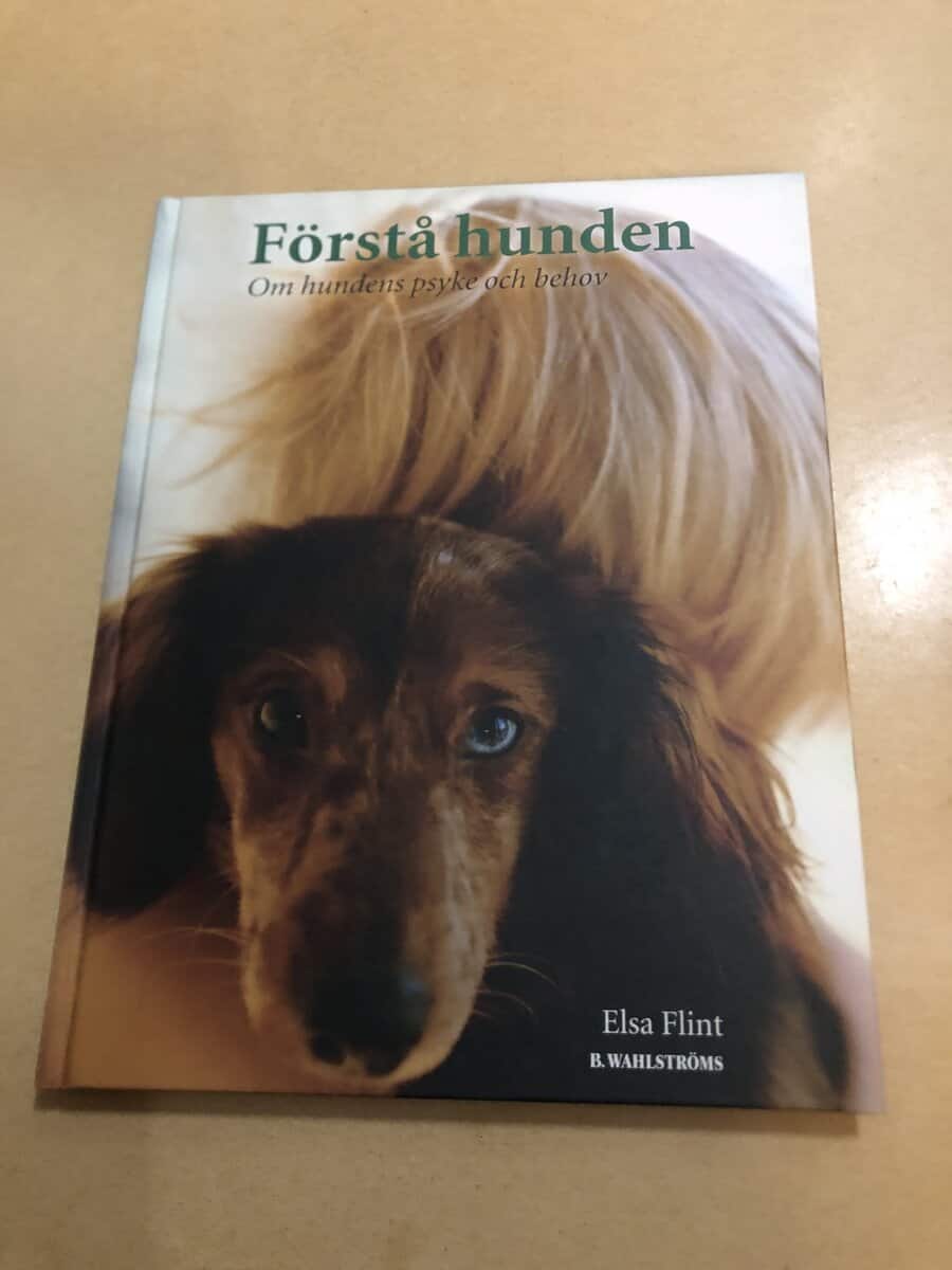 Elsa Flint : Förstå hunden om hundens psyke och behov