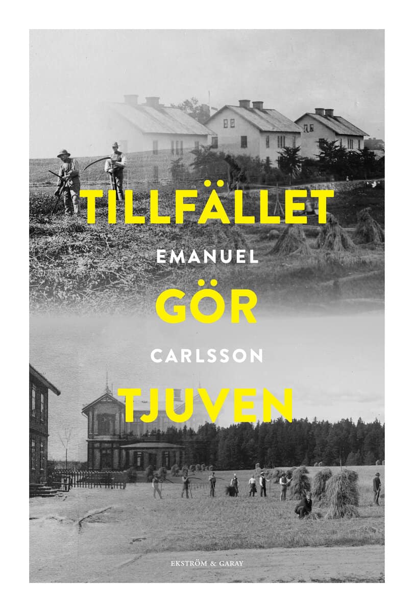 Emanuel Carlsson : Tillfället gör tjuven