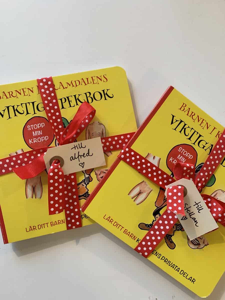 Emelie Sjölander : Kramdalens viktiga lilla bok