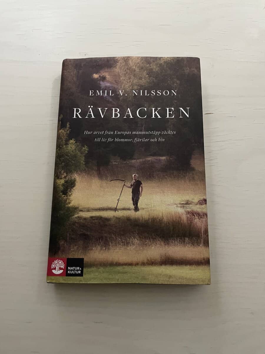 Emil Nilsson : Rävbacken
