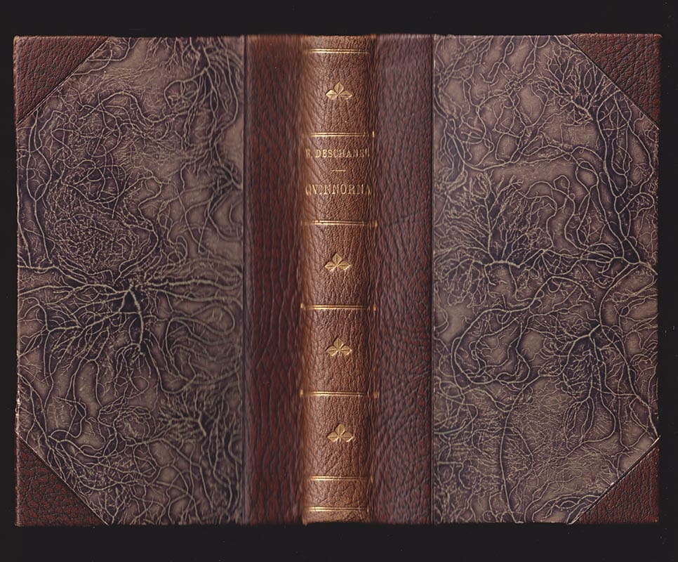 Émile Deschanel : Det onda och det goda, som man sagt om qvinnorna. Öfversättning från sjunde originalupplagan af H. Lgrbm